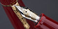 delta_bio_and_16_fountain_pen_14kt_nib