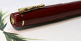 delta_bio_16_fountain_pens_14kt_no._6_nib