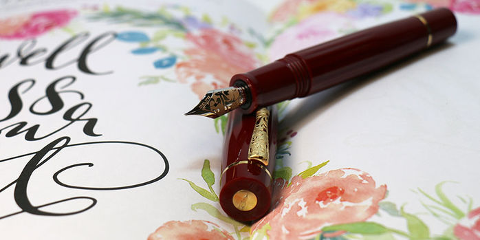 delta_bio_16_fountain_pens_14kt_no._6_nib_in_Book