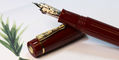 delta_bio_16_fountain_pens_14kt_no._8_nib_red_feed
