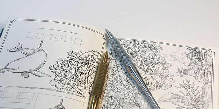 colorverse_shuttle_nibs_in_book