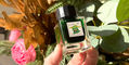tono_and_lims_leprechaun_ink_march_2025