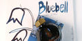 ferris_wheel_press_bluebell_brushstrokes_ink_drawing_painting