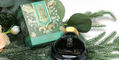 ferris_wheel_press_moss_brothers_book_of_botany_ink