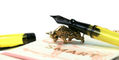 sassy_brassy_bull_pen_rest_with_pineider_avatar_ur_demo_black_edition_lemon_fountain_pen