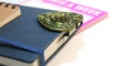 brass_page_holders_lovestruck_bookmark