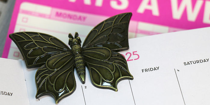 brass_page_holders_old_school_swallowtail_butterfly_bookmarks_up_close