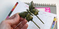 brass_page_holders_old_school_swallowtail_in_hand