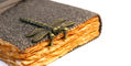 dragonfly_brass_page_holder_on_notebook