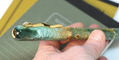 nahvalur_pen_of_the_year_snake_fountain_pen_clip