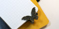 brass_butterfly_binder_clips_travelers_notebook_butterfly_clip_on_graph_paper