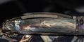 visconti_van_gogh_potato_eaters_fountain_pens_cap