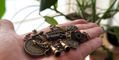 travelers_notebook_brass_3d_charms