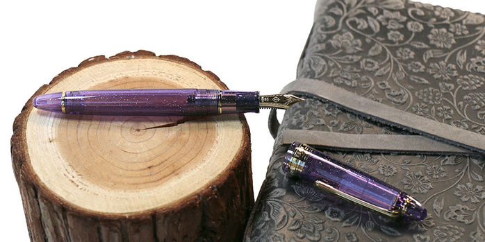 sailor_2025_pen_of_the_year_grape_expectations_fountain_pen