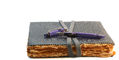 sailor_2025_pen_of_the_year_grape_expectations_fountain_pen_on_notebook