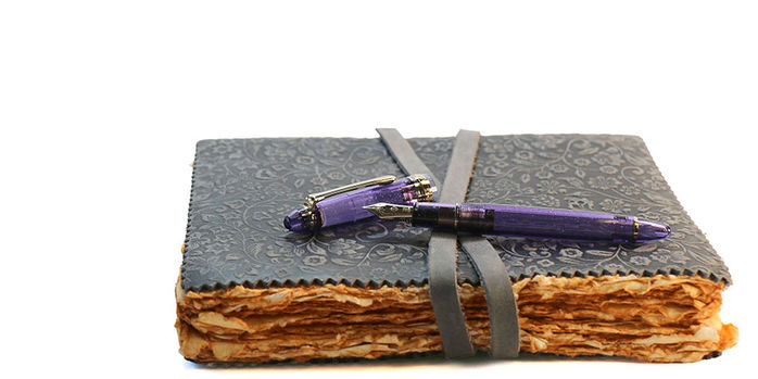 sailor_2025_pen_of_the_year_grape_expectations_fountain_pen_on_notebook