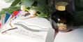 ferris_wheel_press_granite_guardians_ink_85ml_swatch