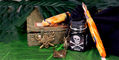 conklin_monteverde_pirate_booty_boxed_fountain_pen_and_ink_set