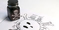 conklin_x_monteverde_pirate_booty_boxed_set_with_monteverde_jolly_roger_ink_swatch