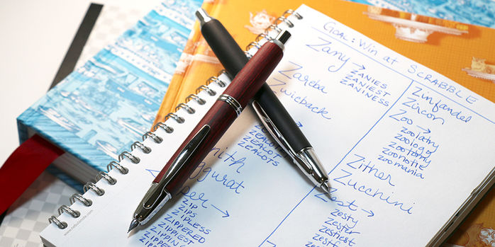 pilot_birchwood_vanishing_point_fountain_pens