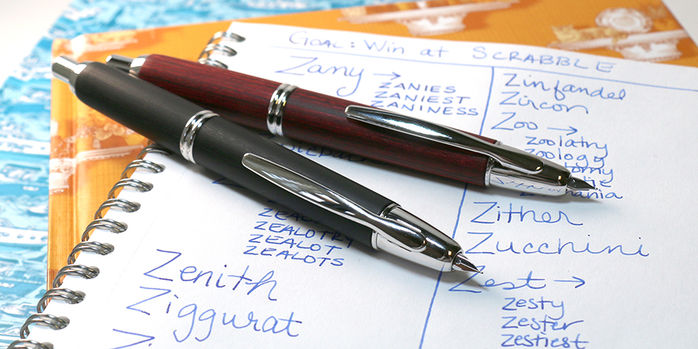 pilot_birchwood_vanishing_point_fountain_pens_both