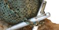 leonardo_officina_italiana_momento_zero_alumina_fountain_pens_both_capped