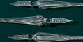 wearingeul_glass_dip_pens_lined_up
