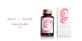 penlux_concerto_rose_nebula_fountain_pen_and_ink_set