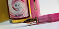 penlux_masterpiece_concerto_rose_nebula_fountain_pens_nib