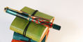 Pelikan_Rudi_Rother_Full_Body_pen