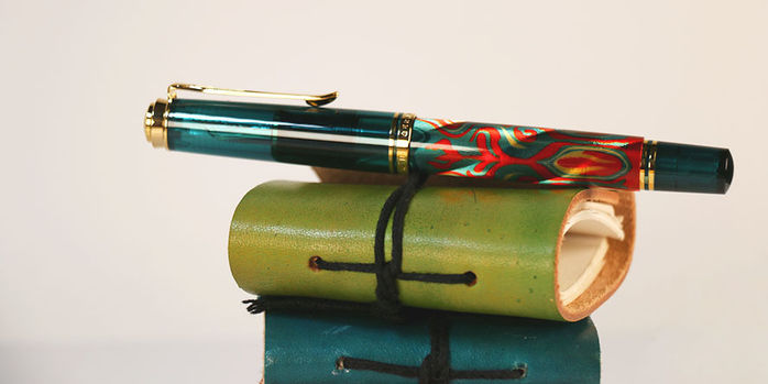 Pelikan_Rudi_Rother_zoom_full_body
