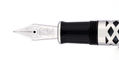 pelikan_m805_special_edition_metal_sleeve_fountain_pens_nib
