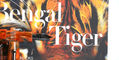 leonardo_van_diemans_bengal_tiger_ruthenium_nib