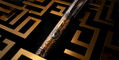 maze_pen_body