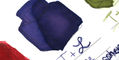 tono_and_lims_2025_takasaki_special_edition_serene_atmosphere_ink_swatch