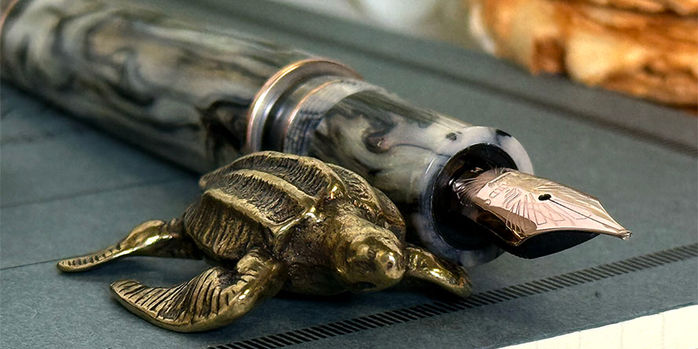 sassy_brassy_leatherback_turtle_pen_rest