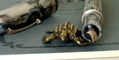 sassy_brassy_leatherback_turtle_pen_rest_with_leonardo_mz_grande_2.0_fountain_pen