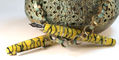 delta_rediscover_pompei_fountain_pens_nib
