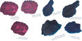 van_diemans_world_oceans_40ml_atlantic_inks_bernuda_triangle_swatches
