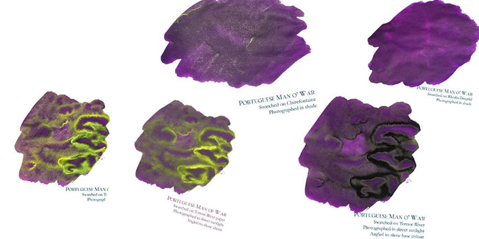 van_diemans_world_oceans_40ml_atlantic_inks_portuguese_man_o_war_swatches