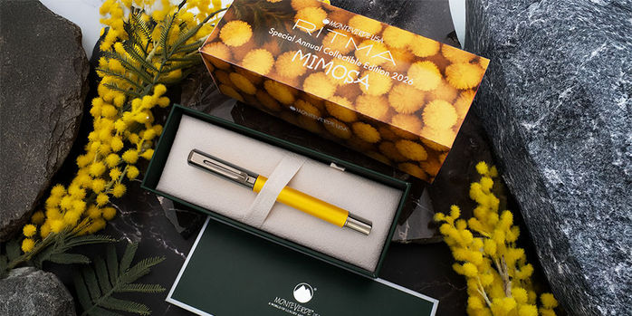 Monteverde_Ritma_Titanium_nib_with_box_capped