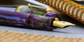 delta_limited_edition_wisteria_walk_reservoir_fountain_pens_nib_from_side