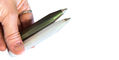 kaweco_lunar_sport_ballpoint_pens