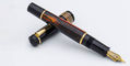 delta_dv_glow_up_14kt_gold_nib_fountain_pens__on_cap