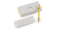 Pelikan_M200_Pyrite_pen_and_sleeve