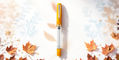 Nahvalur_Original_Plus_Fountain_Pen_Day_2026_styled
