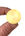Pen Chalet Brass Seals for Sealing Wax in Blank Circle / Gold