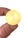 Pen Chalet Brass Seals for Sealing Wax in Blank Circle / Gold