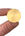 Pen Chalet Brass Seals for Sealing Wax in Blank Rounded Circle / Gold