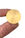 Pen Chalet Brass Seals for Sealing Wax in Blank Rounded Circle / Gold